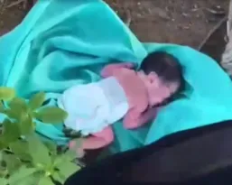 Imagem ilustrativa da imagem Bebê recém-nascido abandonado em beira de estrada em Taquaritinga do Norte