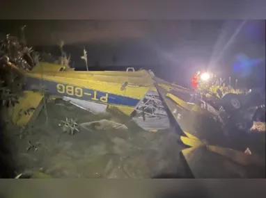Imagem ilustrativa da imagem Avião cai, fica de ponta-cabeça e deixa piloto ferido em MG