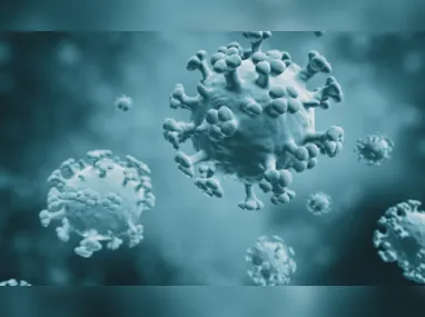Imagem ilustrativa da imagem Gripe aviária: OMS expressa preocupação com risco de transmissão entre humanos