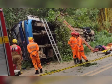 Imagem ilustrativa da imagem Motorista de ônibus que capotou em MG diz que tentou desviar de cães na via