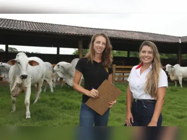 Imagem ilustrativa da imagem Mulheres tomam à frente nas fazendas do ES