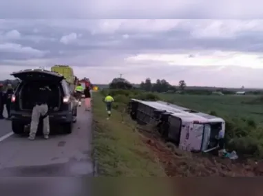 Conforme a corporação, os agentes encontraram 15 fardos com entorpecentes, totalizando 460 kg