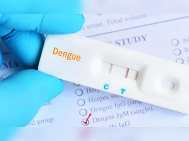 Imagem ilustrativa da imagem Saiba quais são os testes de dengue e em que fase da doença são aplicados