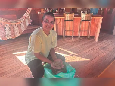 Colatina é a terra da pereveca. O nome refere-se a um pão de origem alemã, em formato de rocambole, feito com banana, amendoim, cachaça, cravo e canela. 
Em Baunilha, a empreendedora Maria Teresa Goldner Ribeiro, descendente de pomeranos, decidiu, há 15 anos, usar a receita de família para gerar renda. Hoje, ela tem uma agroindústria familiar, a Massas Pereveca, onde faz, além do pão típico de Colatina, diversos biscoitos. Contato: (27) 99885-0259.