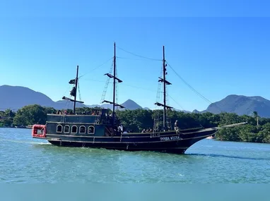 Filhotes de tartaruga vão em direção ao mar | Foto: Divulgação