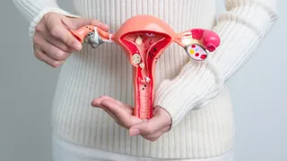 Imagem ilustrativa da imagem Fala, Doutora!: Quanto tempo leva para o HPV virar câncer?
