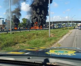 Imagem ilustrativa da imagem Líder dos carroceiros diz que cavalos estão sendo revendidos ou mortos em abate