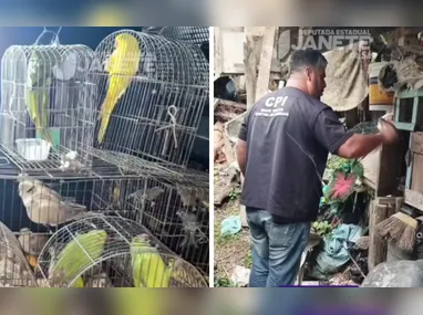 Homem é preso suspeito de envolvimento em caso de feminicídio no Noroeste do Estado