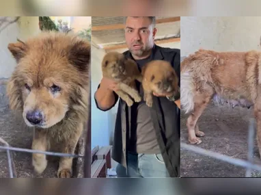 Frente da Delegacia Regional de Guarapari: mulher foi presa no município, suspeita de aplicar golpes ao vender terrenos que não eram dela