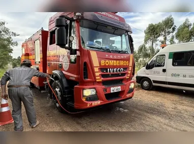 Imagem ilustrativa da imagem Governo do RS instala barreiras sanitárias em rodovias para conter gripe aviária