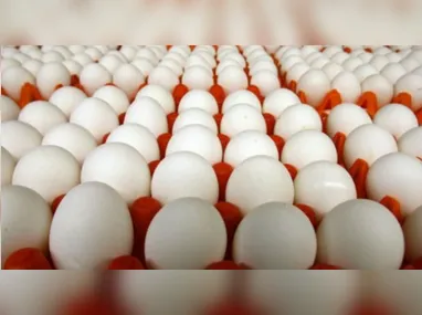 O objetivo das barreiras é inspecionar todos os veículos que circulam em diversas propriedades rurais