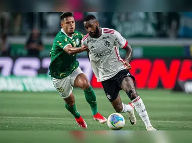 A equipe alviverde está a quatro pontos à frente do Flamengo