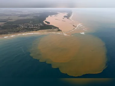 Geração de energia limpa: regra básica é que o  foco do projeto seja exclusivo no financiamento da promoção da descarbonização da economia