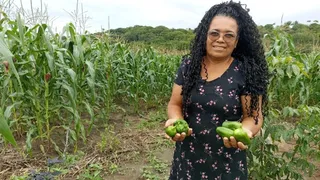 Imagem ilustrativa da imagem Galinhas, licores e cisternas: uma brecha no tempo que sustenta vidas no Cabo
