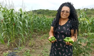 Imagem ilustrativa da imagem Galinhas, licores e cisternas: uma brecha no tempo que sustenta vidas no Cabo