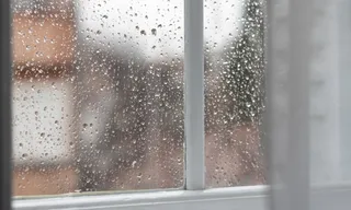 Imagem ilustrativa da imagem Previsão de chuva até o final da manhã desta terça-feira (29) no Grande Recife