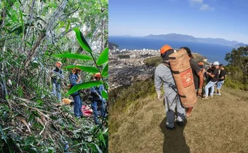 Imagem ilustrativa da imagem Homem morre após queda de asa-delta no litoral de SP