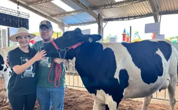 Imagem ilustrativa da imagem Vacas produzem 120 kg de leite por dia e vencem concurso no ES