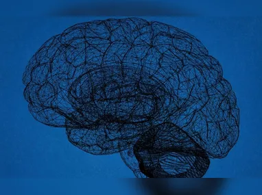 Principais causas de perda visual são catarata, glaucoma, degeneração macular e retinopatia diabética