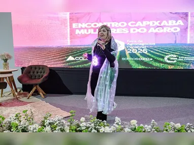Veículos disponíveis na cidade