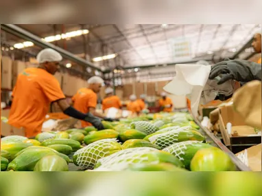 Imagem ilustrativa da imagem Mais 5 empresas vão investir no Espírito Santo