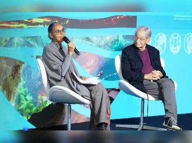 Imagem ilustrativa da imagem Marina Silva vê “PL da Devastação” como tiro no pé do agronegócio