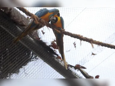 O vídeo mostra que são ao menos 35 segundos com o rapaz desferindo socos na vítima sem parar