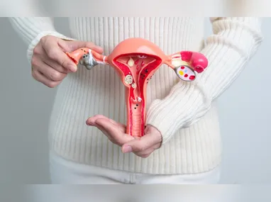 Imagem ilustrativa da imagem SUS vai oferecer novo tipo de DIU até o final do ano