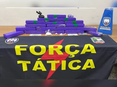 Homem e criança se perderam em uma área densa de plantação de eucalipto