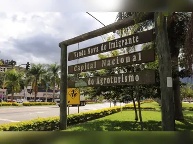 Após perder o controle e cair na ribanceira, o veículo foi contido parcialmente pela vegetação no local