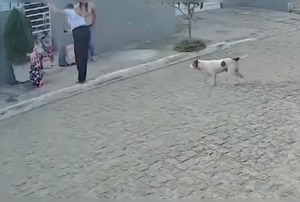 Imagem ilustrativa da imagem Pitbull ataca mães e filhas pequenas no Sertão de Pernambuco; COM VÍDEO