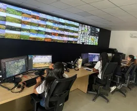 Imagem ilustrativa da imagem Ação humana provoca 90% dos incêndios florestais