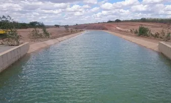 Imagem ilustrativa da imagem Quando o passado pesa, mas o futuro insiste: a reinvenção de Floresta