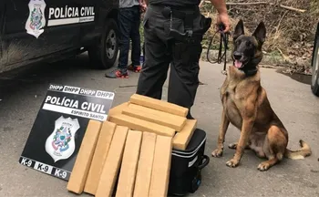 Imagem ilustrativa da imagem Após 14 anos de trabalho, morre primeiro cão da Polícia Civil do ES