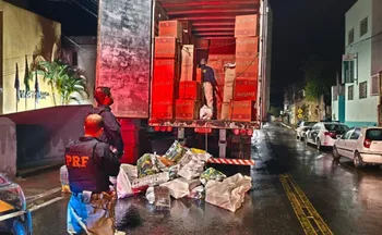 Imagem ilustrativa da imagem PRF apreende 700 quilos de maconha em caminhão que transportava panetone para o ES