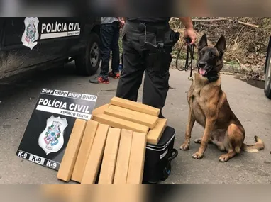 Câmeras espalhadas pela cidade