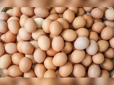 Imagem ilustrativa da imagem Brasil produz o equivalente a 305 ovos de galinha por habitante