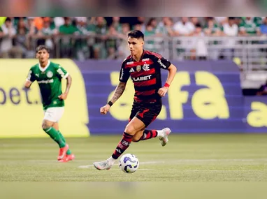 Imagem ilustrativa da imagem Brasileirão: Flamengo tem 52,7% de chance de título. Palmeiras tem 33,2%