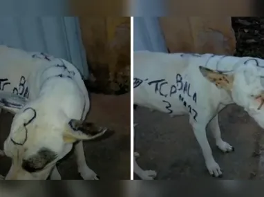 Polícia Militar foi acionada e conteve o suspeito, que foi preso