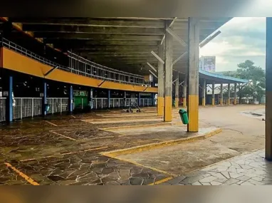 "Gosto do Neymar, identifico-me muito com ele", afirmou o empresário