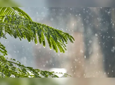 Imagem ilustrativa da imagem ES recebe alerta de acumulado de chuva nesta segunda-feira; veja cidades em risco