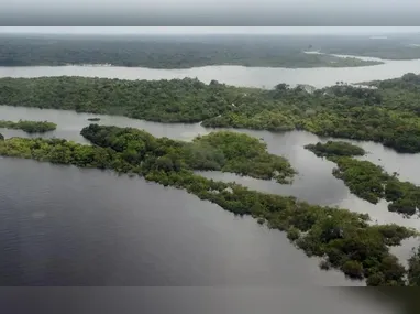 Imagem ilustrativa da imagem Entenda a licença da Petrobras para a Foz do Amazonas