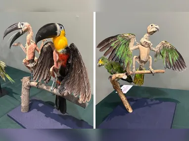 Donato Fontoura é uma das atrações da festa “Resenha da Chácara Flora”, que tem  comida e bebida liberadas.
