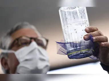 A intoxicação pode se apresentar por sintomas como náusea, vômito, dor abdominal, dor de cabeça e tontura