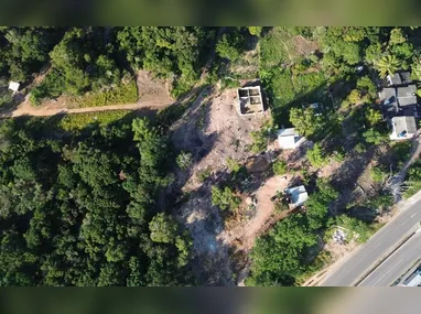 Tartaruga da espécie Chelonia mydas foi encontrada morta