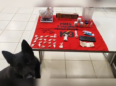 Imagem ilustrativa da imagem Homem é preso suspeito de tráfico de drogas na Região Serrana do ES