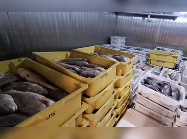 Câmeras de videomonitoramento flagraram o momento do assalto