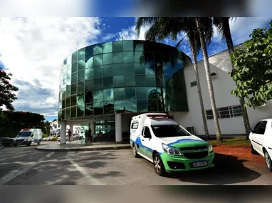 O dono dos animais, Genivaldo Leal, 59 anos, informou que a morte aconteceu de maneira inesperada na sexta-feira (10), mas garantiu que as outras duas bezerras permanecem saudáveis.