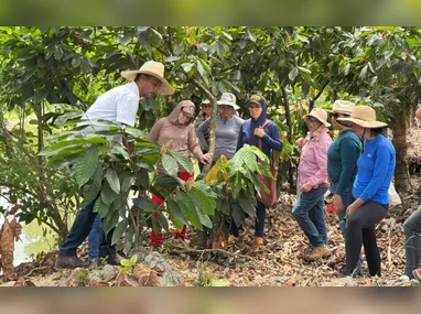 Marcos Antônio e seu café especial: dedicação nas lavouras, cuidado com o solo e grãos de excelência