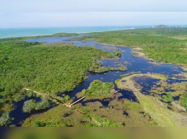 Ibama alerta e prepara população no ES contra ataques de onças e javalis